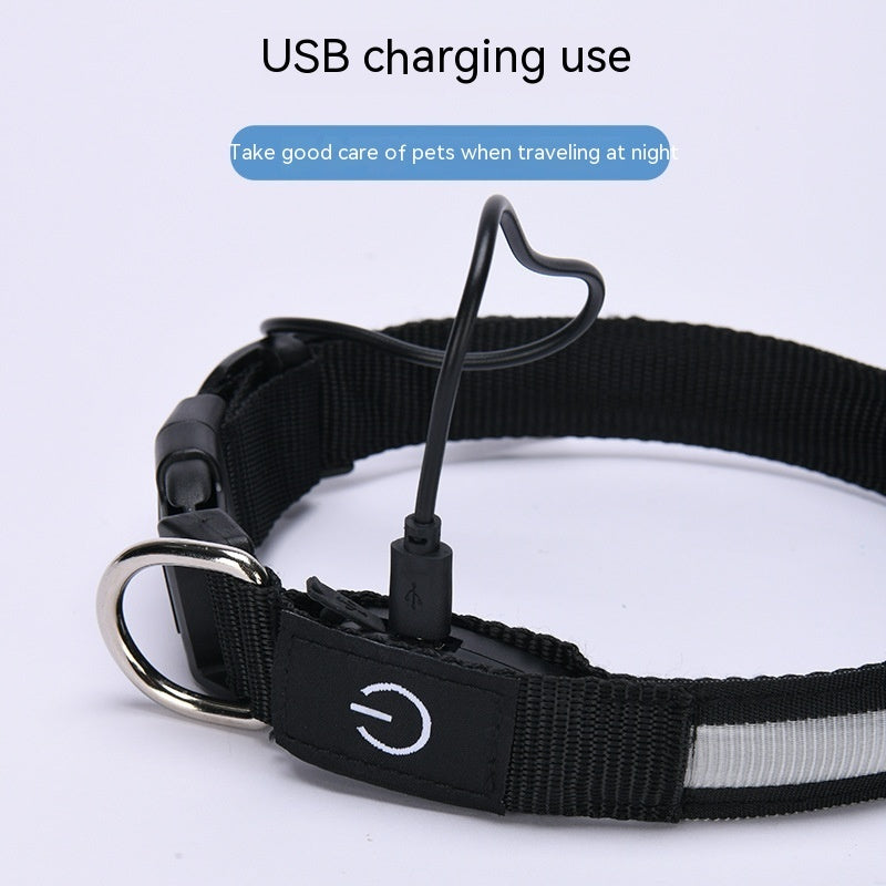 Colier luminos LED USB pentru câini și pisici